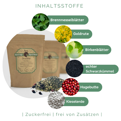Natürliche Unterstützung der körpereigenen Nierenfunktion