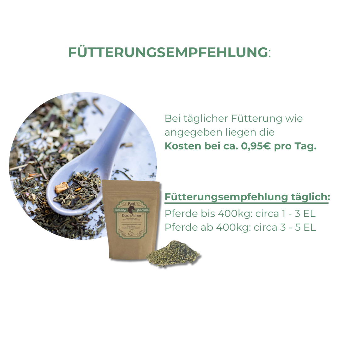 Equines Asthma beim Pferd mit Kräuter vorbeugen und behandeln