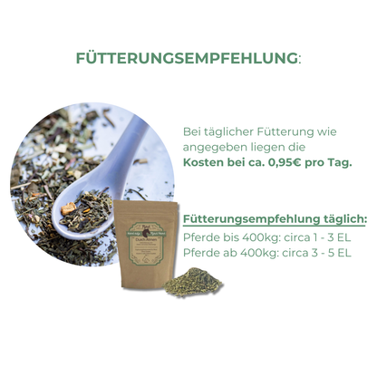 Equines Asthma beim Pferd mit Kräuter vorbeugen und behandeln