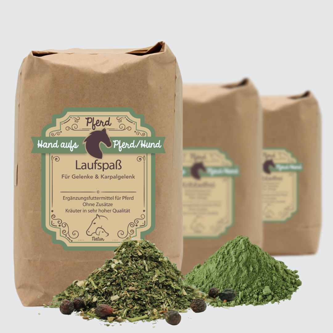 Gelenk Kräutern für Pferde