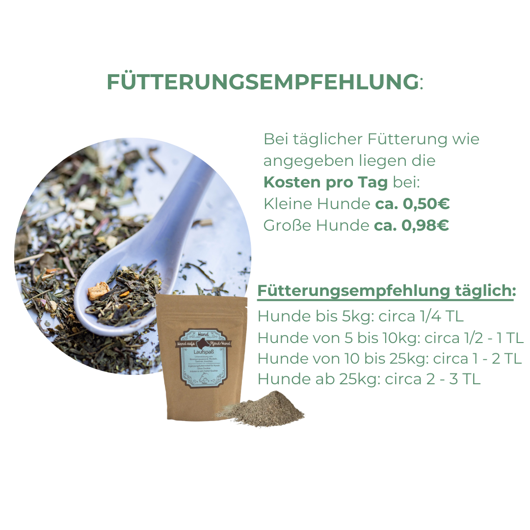 Gelenk Kräuter Hund mit MSM, Silizium und Grünlippmuschel bei Spondylose
