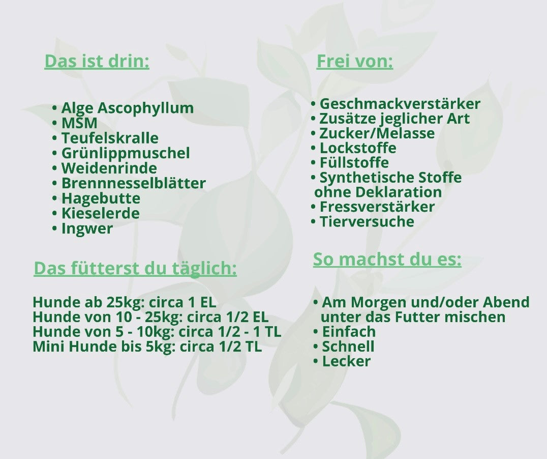 Gelenk Kräuter Dauergabe Laufspaß