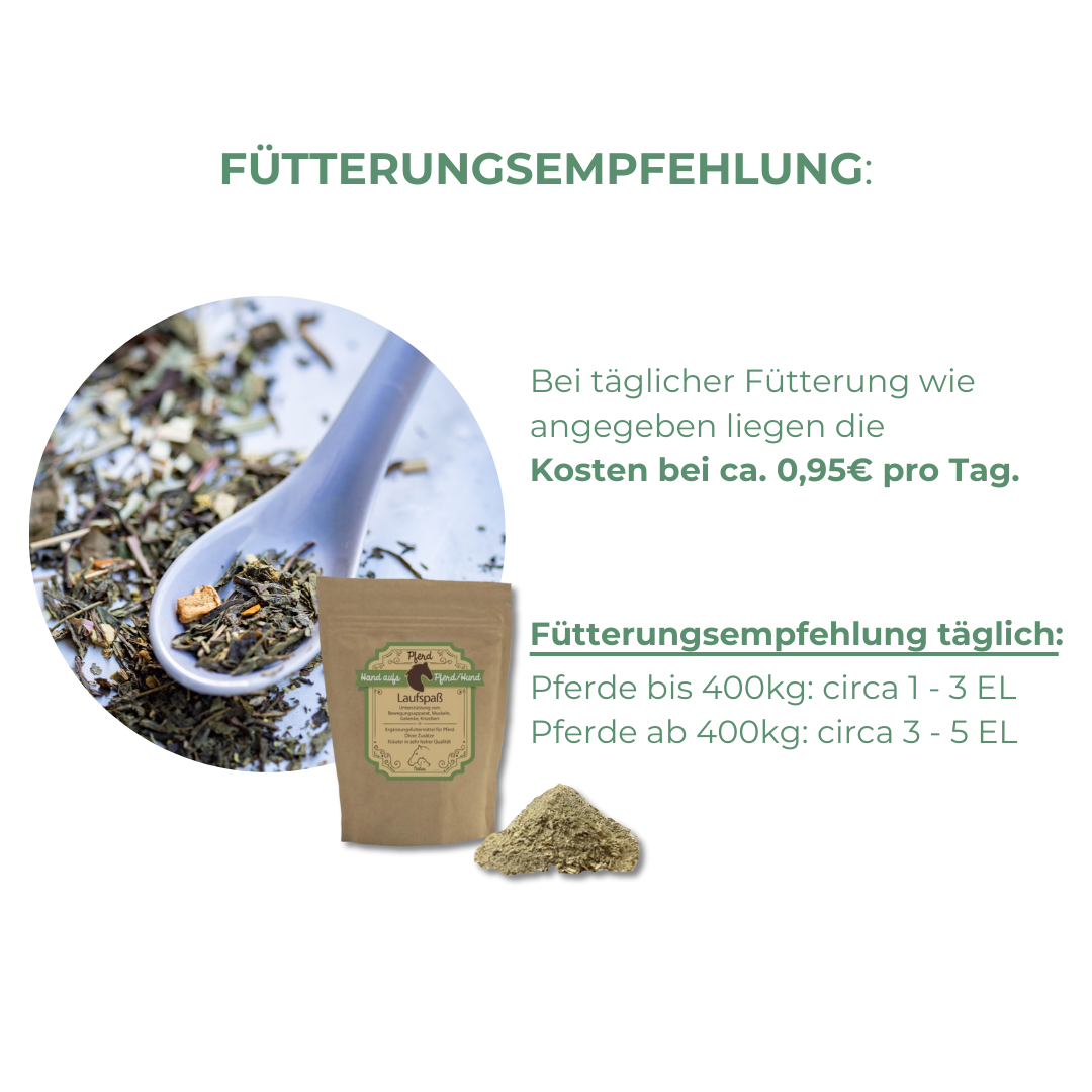 Gelenk Knorpel aufbau Pferd bei Spat
