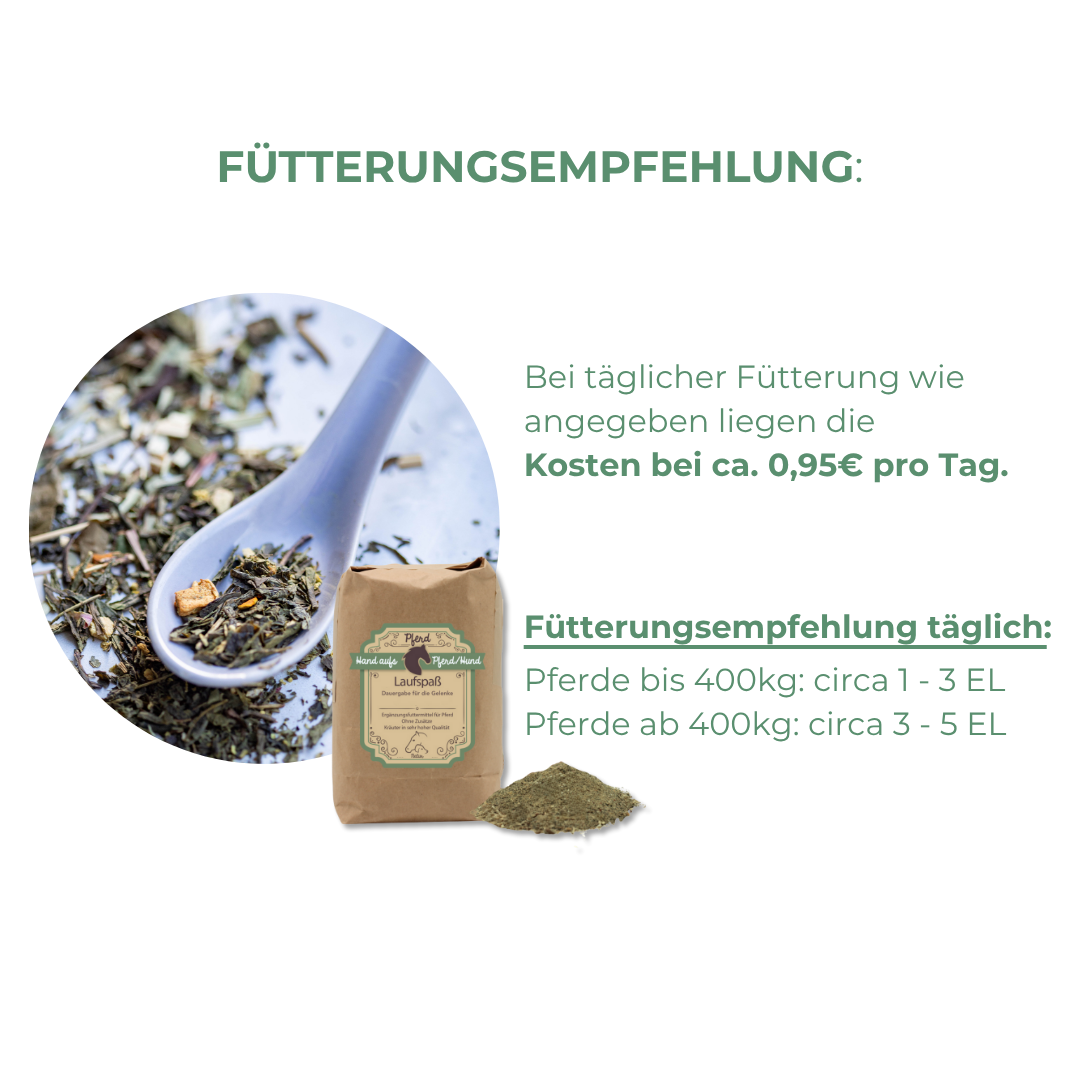 Gelenk Knorpel aufbau Pferd bei Spat