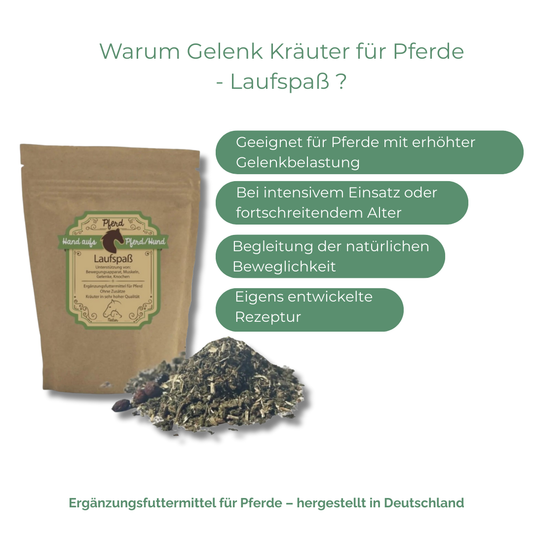 Kräuter zur Begleitung der körpereigenen Gelenk Funktion und Vitalität