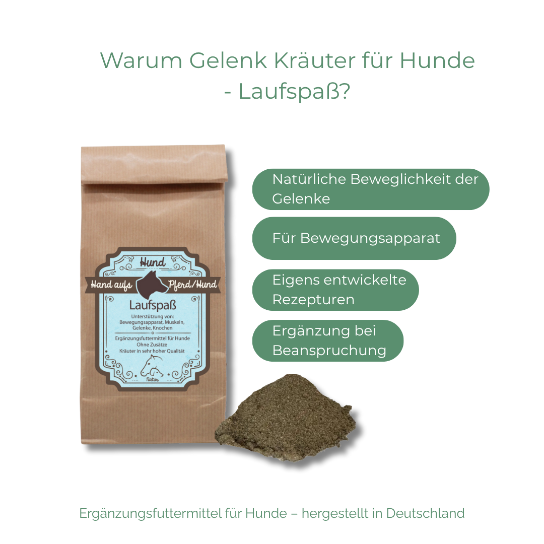 Unterstützung