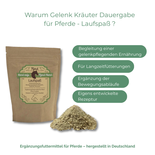 Natürliche Unterstützung für Gelenke und Beweglichkeit