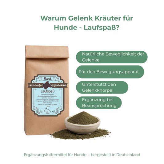 Gelenkprobleme Hund