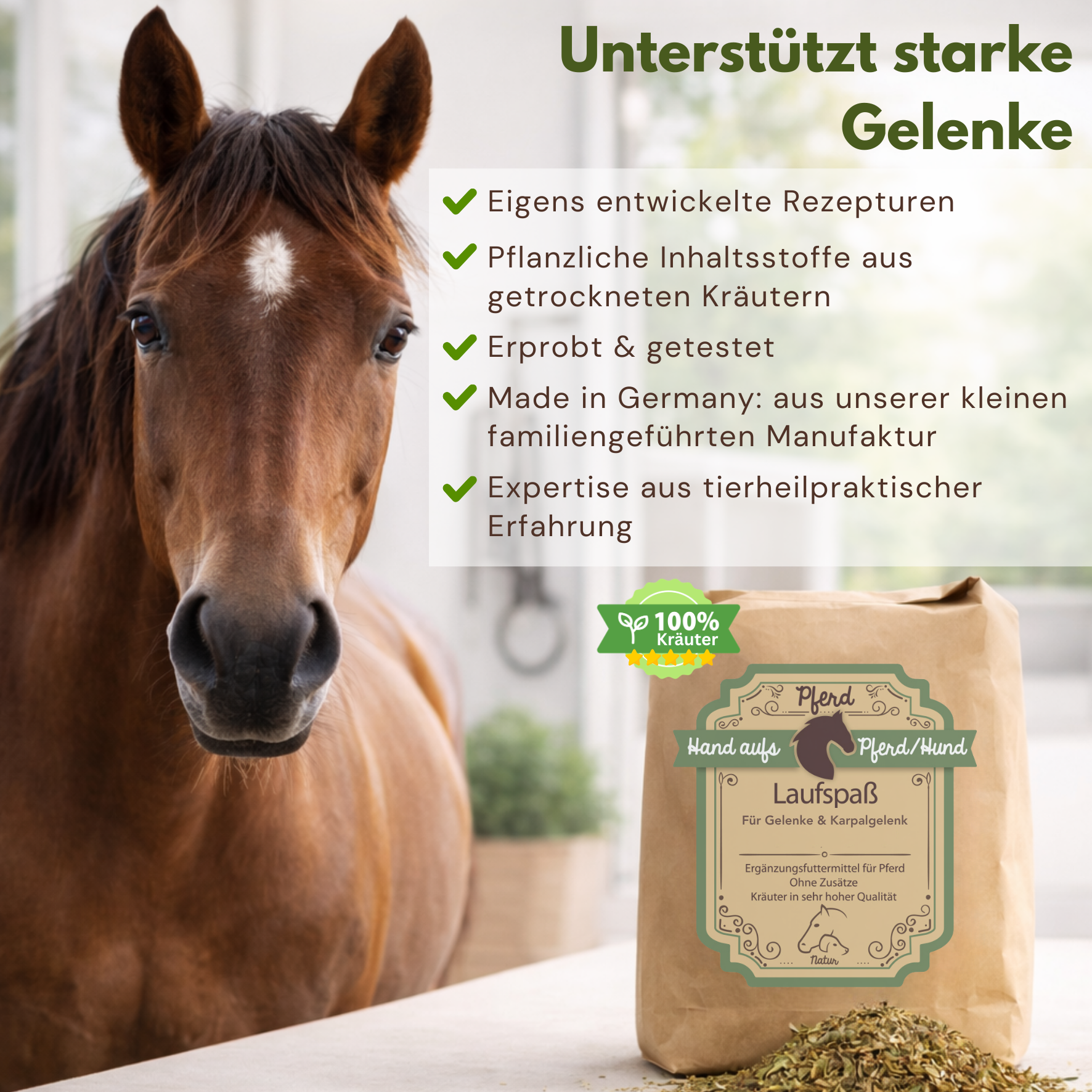 arthrose kräuter