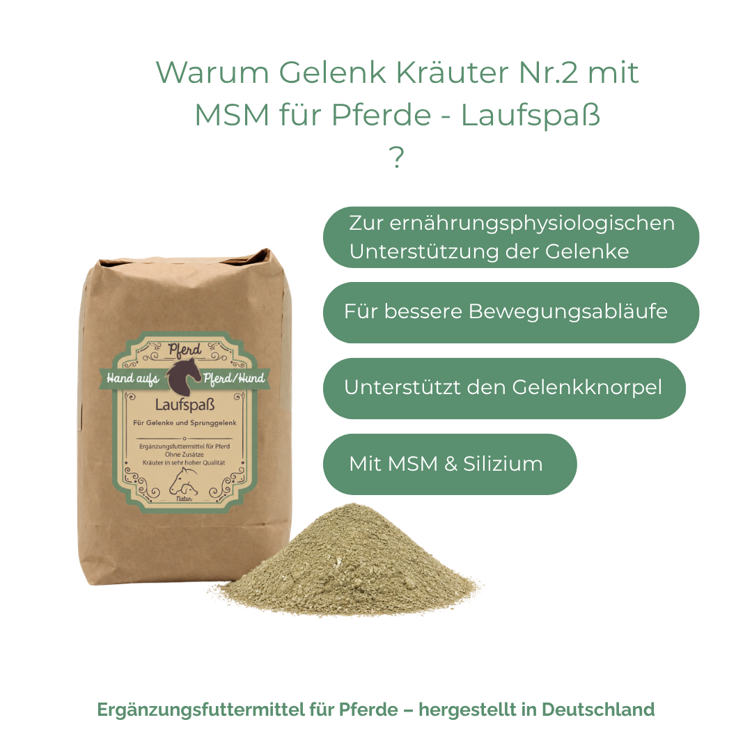 Gelenk Unterstützung Pferd MSM 
