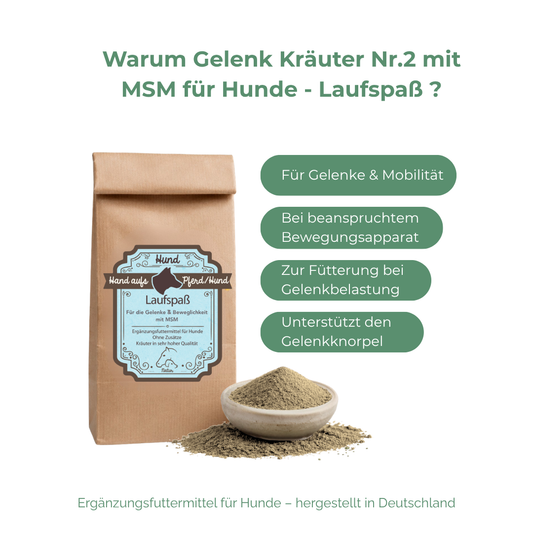 unterstützt den Gelenkknorpel