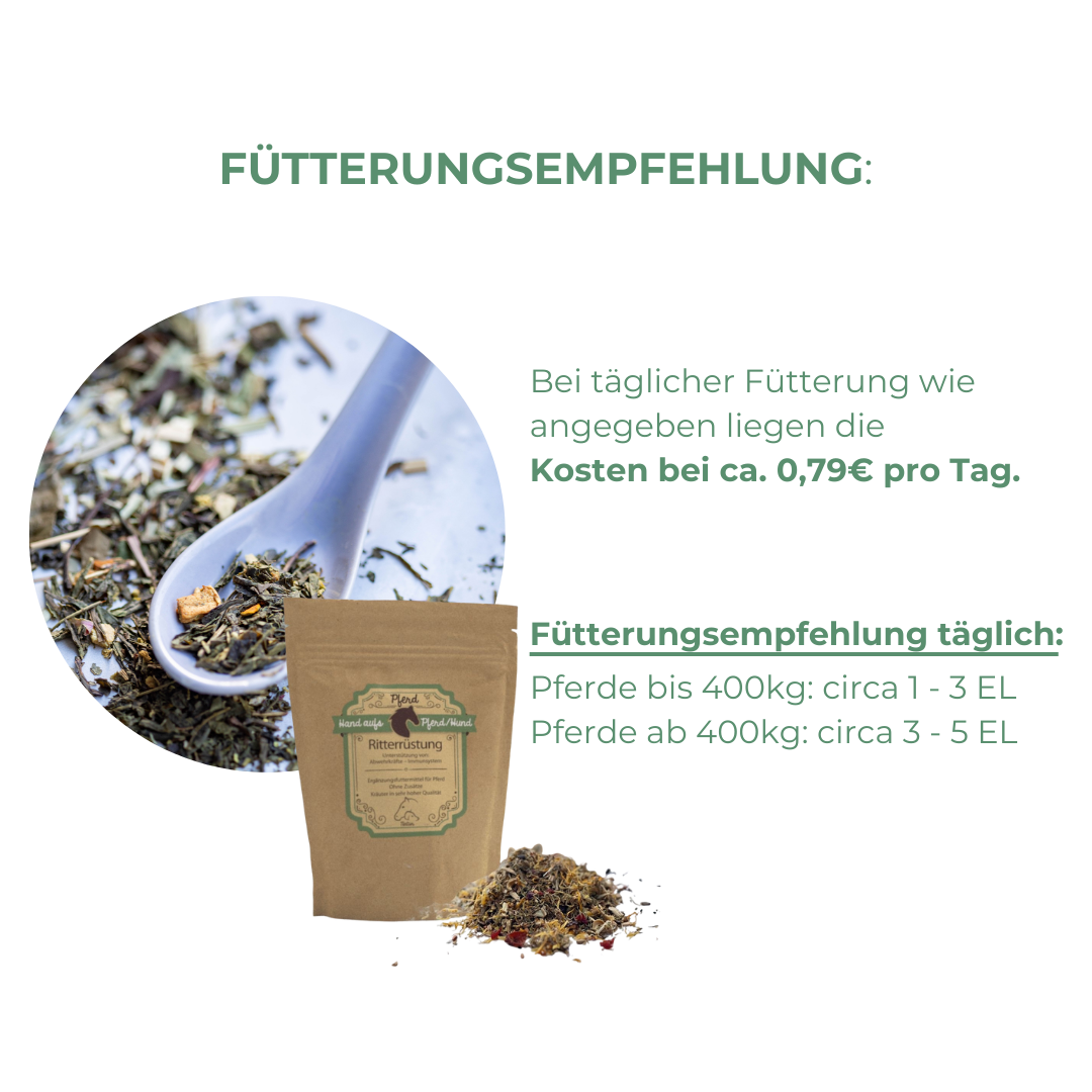 Abwehrsystem Pferd unterstützen