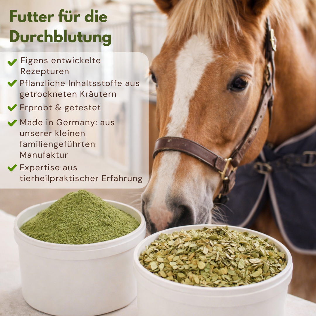 Durchblutung futter pferd