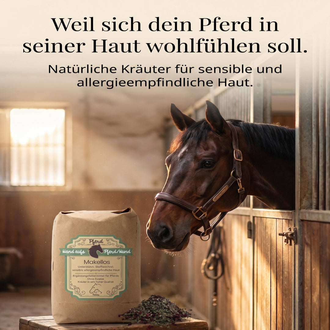 Pferd mit Kräuter für Sommerekzem