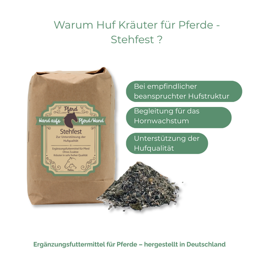 Begleitung von Hufstruktur und Hornsubstanz