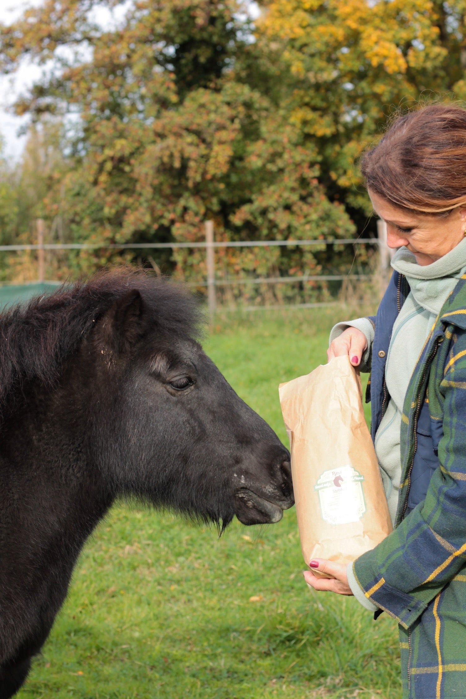Husten Pferd natürlich behandeln & vorbeugen