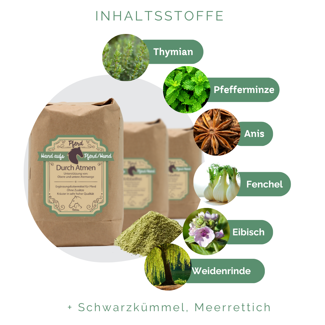 Husten bei Pferden natürlich behandeln