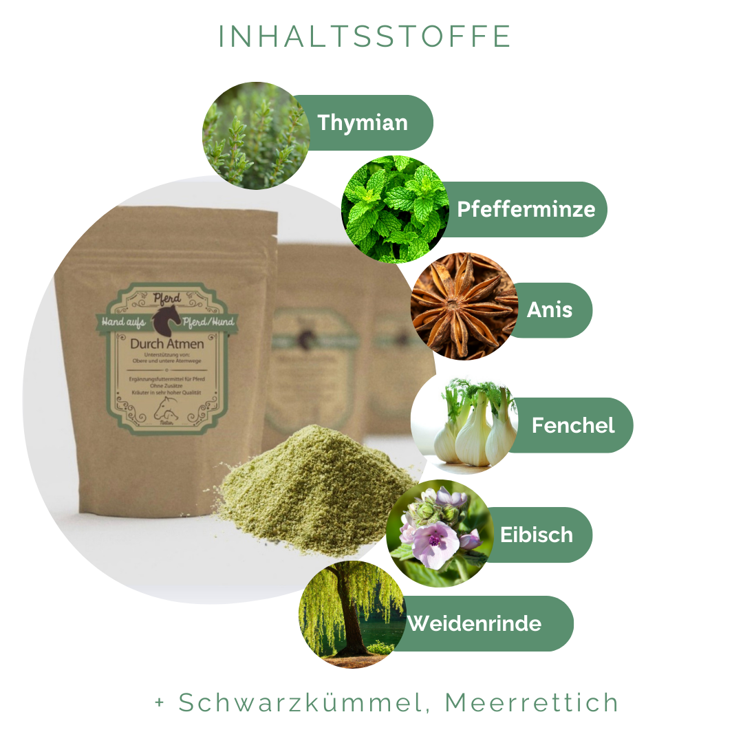 Husten bei Pferden natürlich behandeln