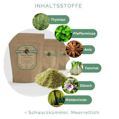 Husten bei Pferden natürlich behandeln