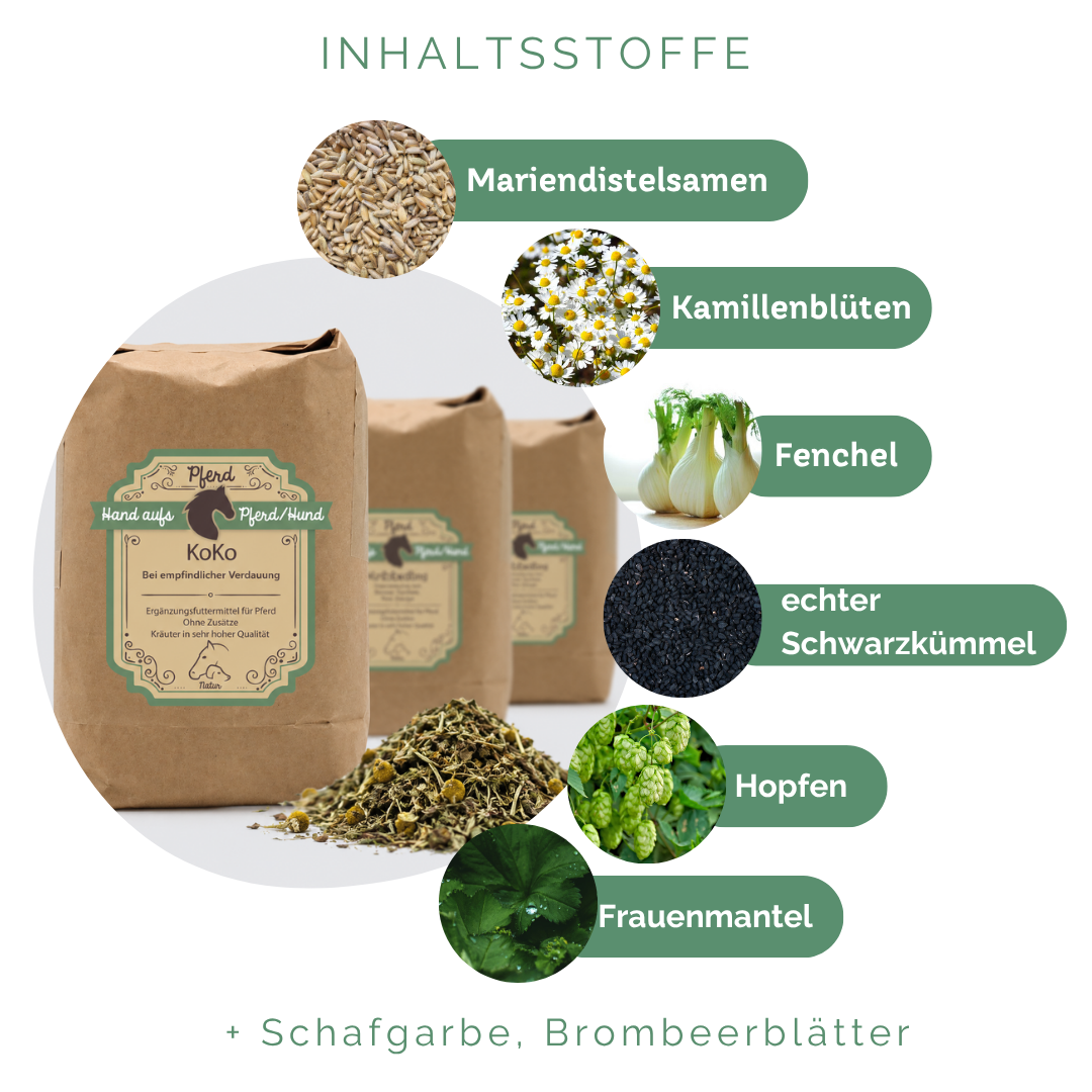 Kräuter