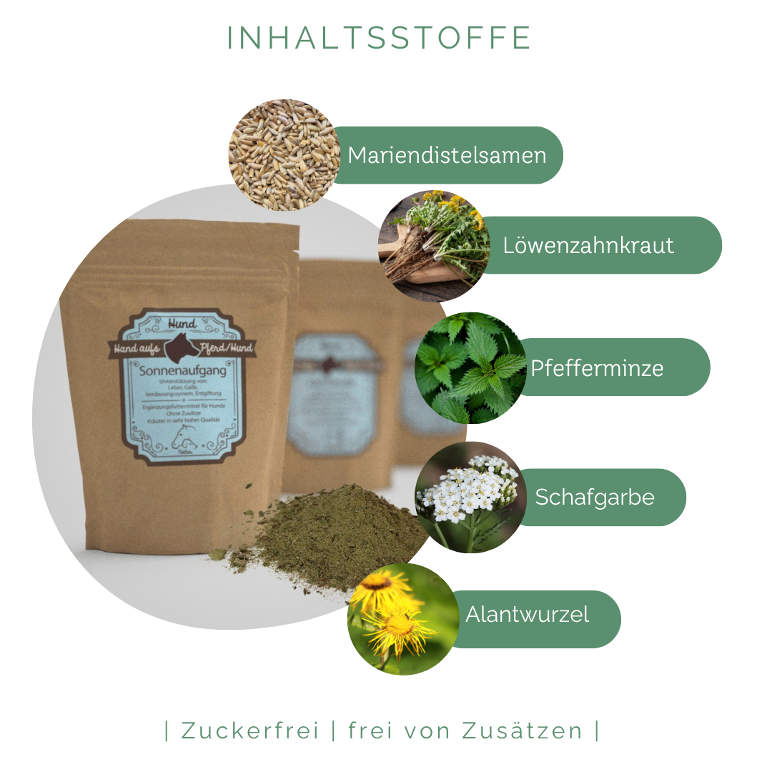 Kraeuter zur Behandlung und Vorbeugung bei Lipom & Fettknoten
