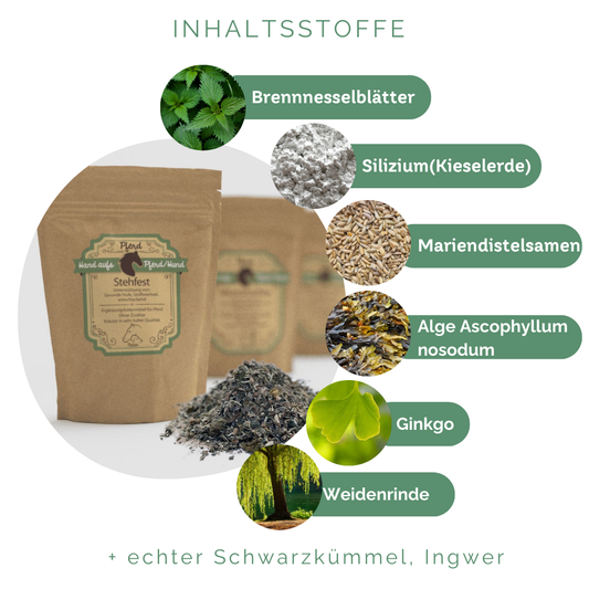 Hufqualität Und Feuchtigskeitsregulation Hufe Pferd