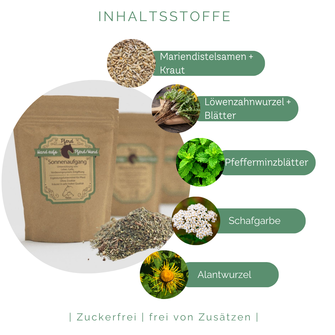 Natürliche Leberkräuter für Pferde zur Unterstützung des Stoffwechsels