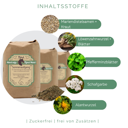 Natürliche Leberkräuter für Pferde zur Unterstützung des Stoffwechsels