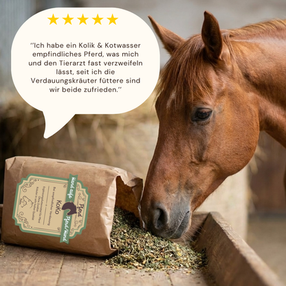 Kolik beim pferd vorbeugen