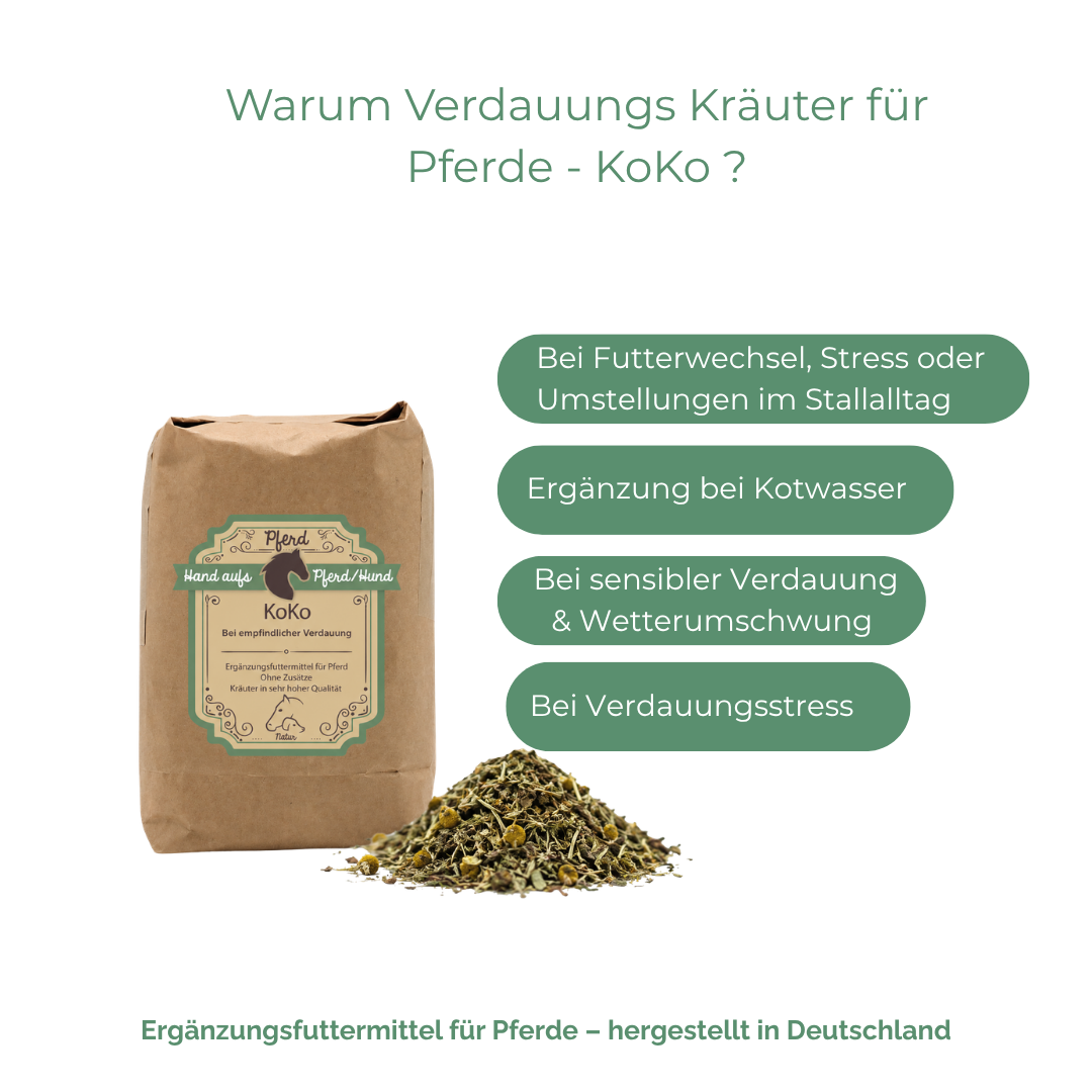 Verdauungs