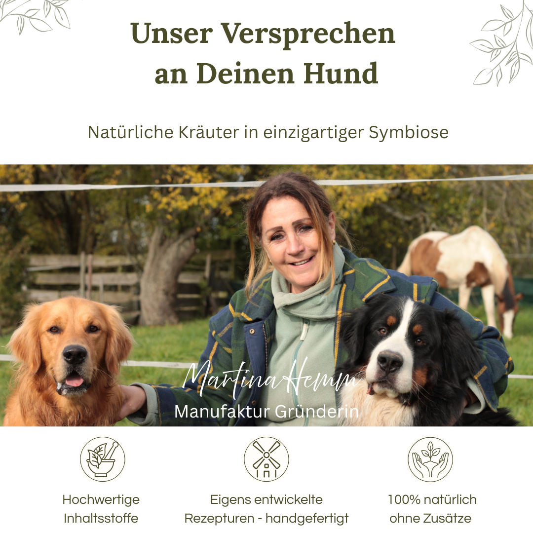 Hundekräuter Premium