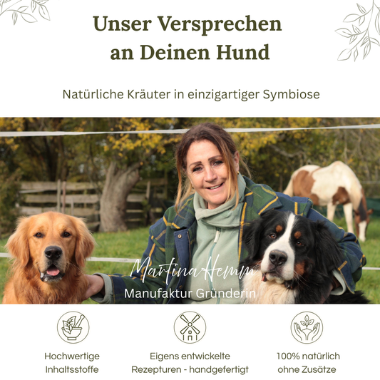 Hundekräuter Premium
