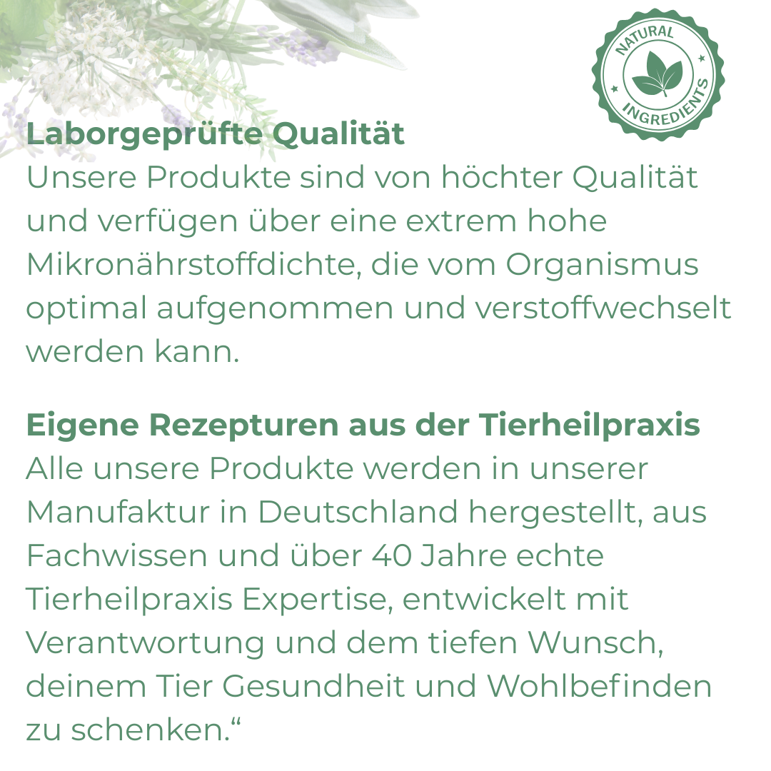 Kräuter zur Gesunderhaltung für Pferde und Hunde 