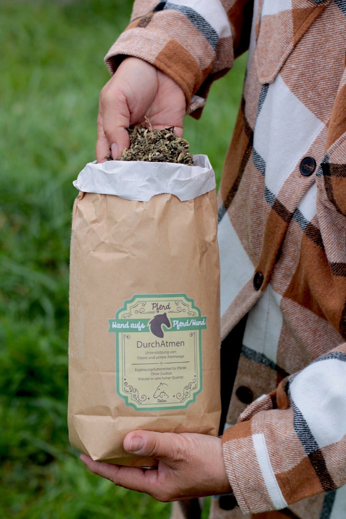 Kräuter für Pferde