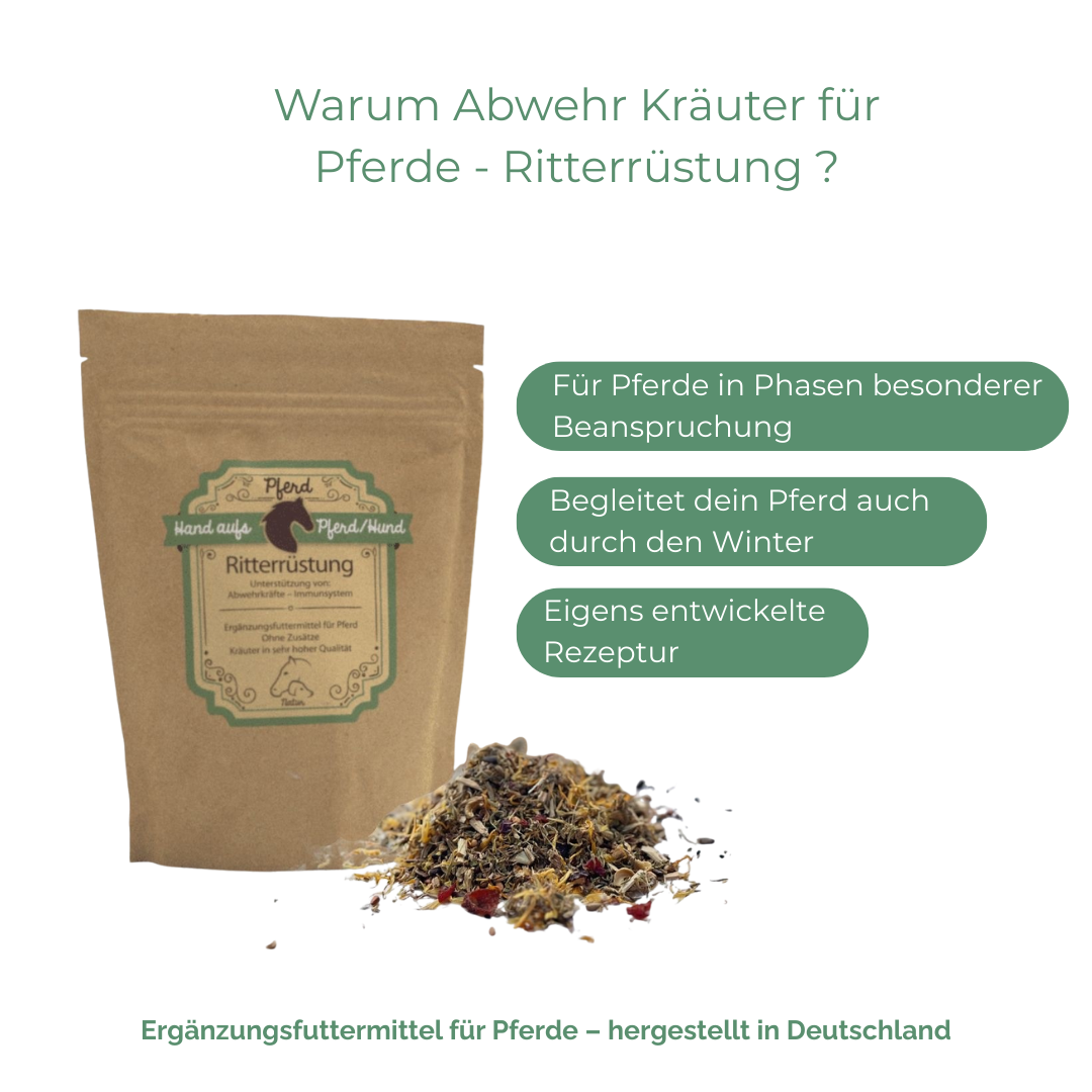 Vital-Bundle für Pferde – abgestimmt für Vitalität und Stoffwechsel
