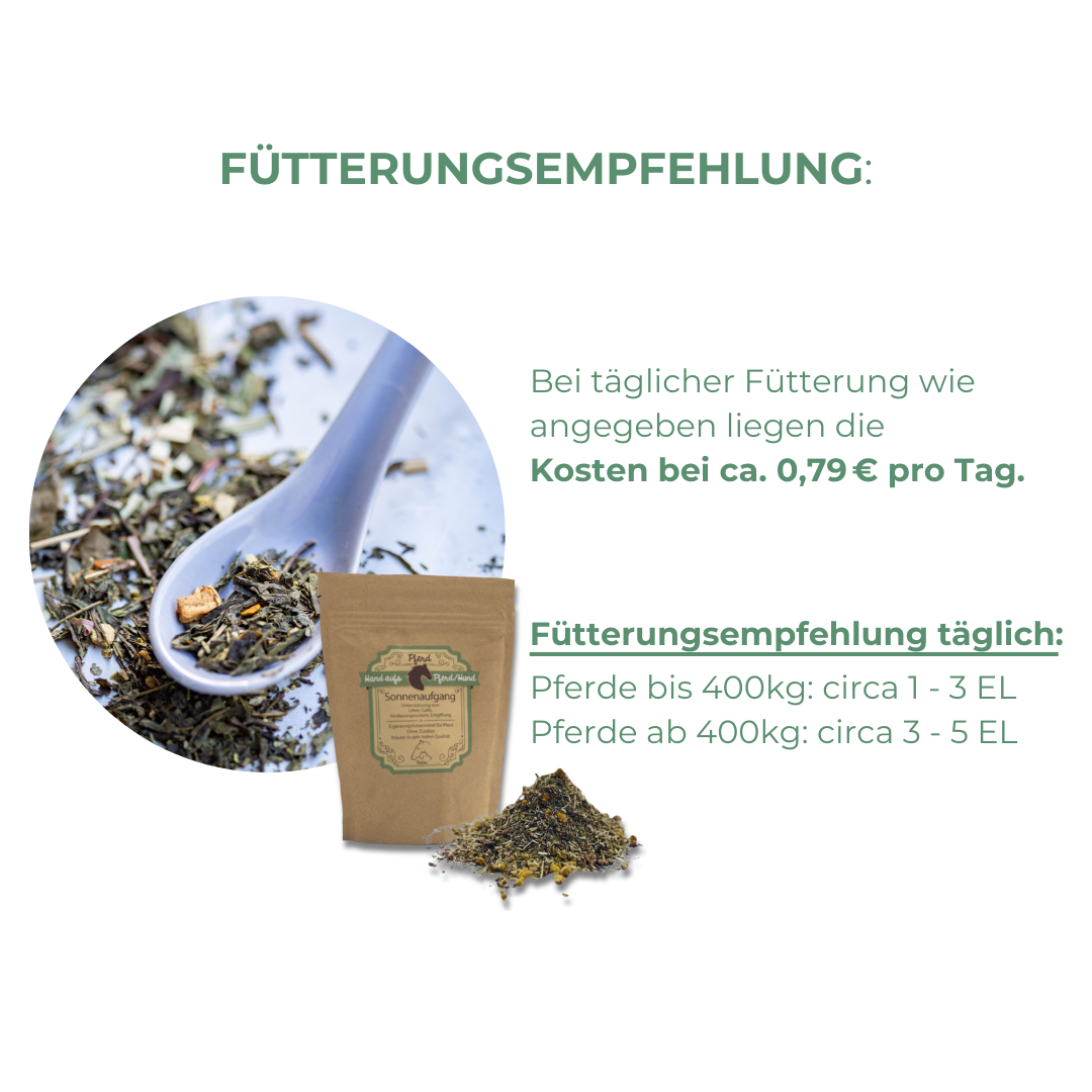Warum viele Pferde Magen-Darm-Problemen haben