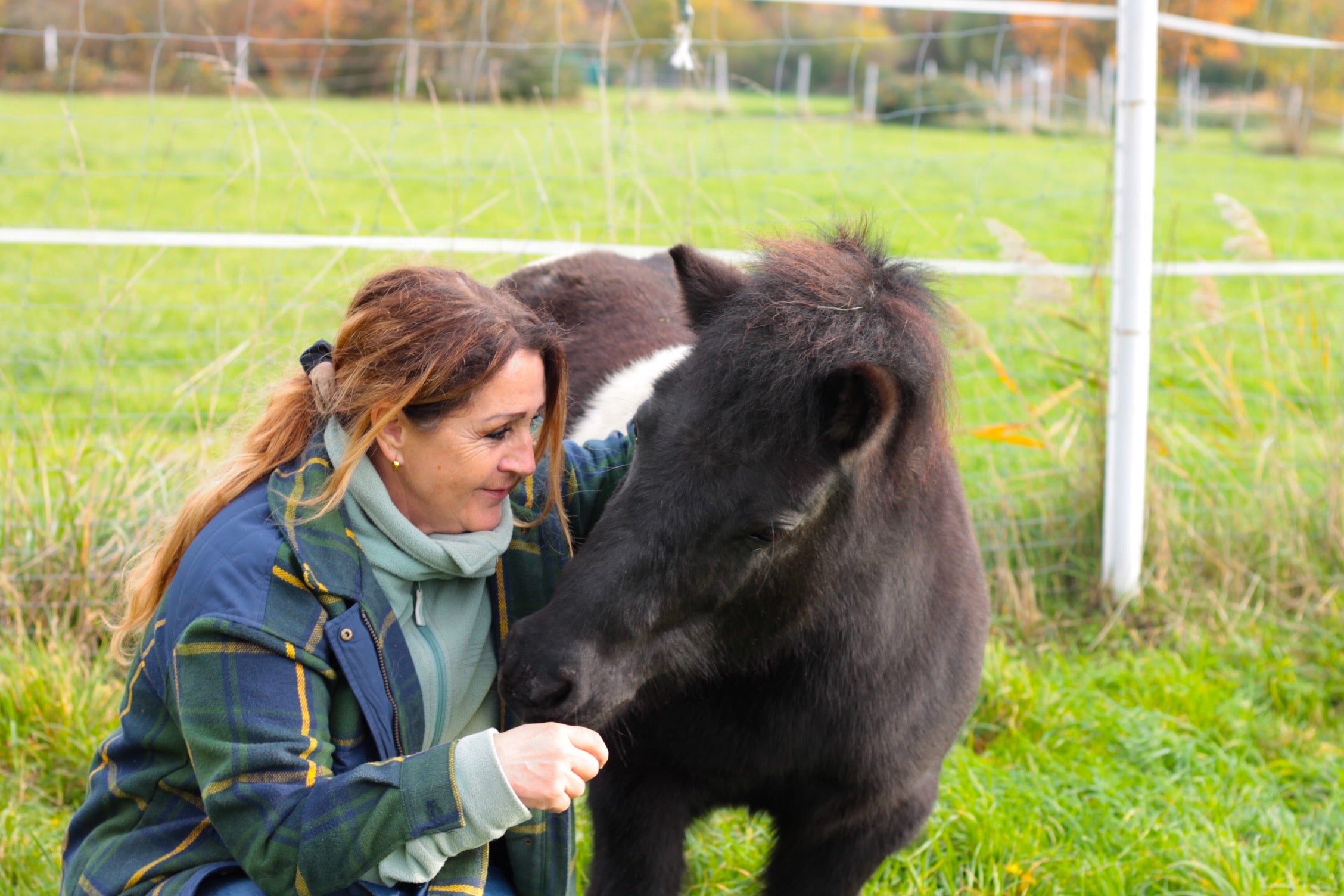 Was tun wenn das Pferd trockenen Husten hat