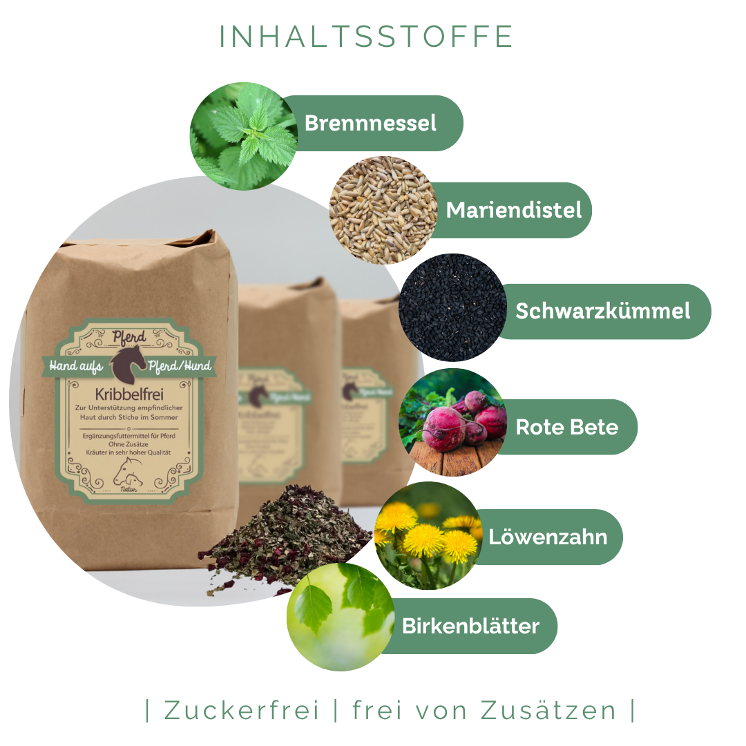 Unterstützung