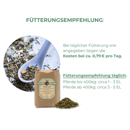 Unsicherheit beim Pferd therapieren 