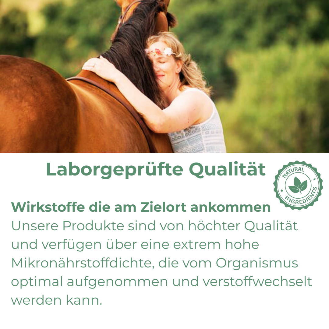 Natürliche Nährstoffe für Pferde 