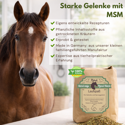 Pferd mit einer Tüte Futter für Spat und Arthrose