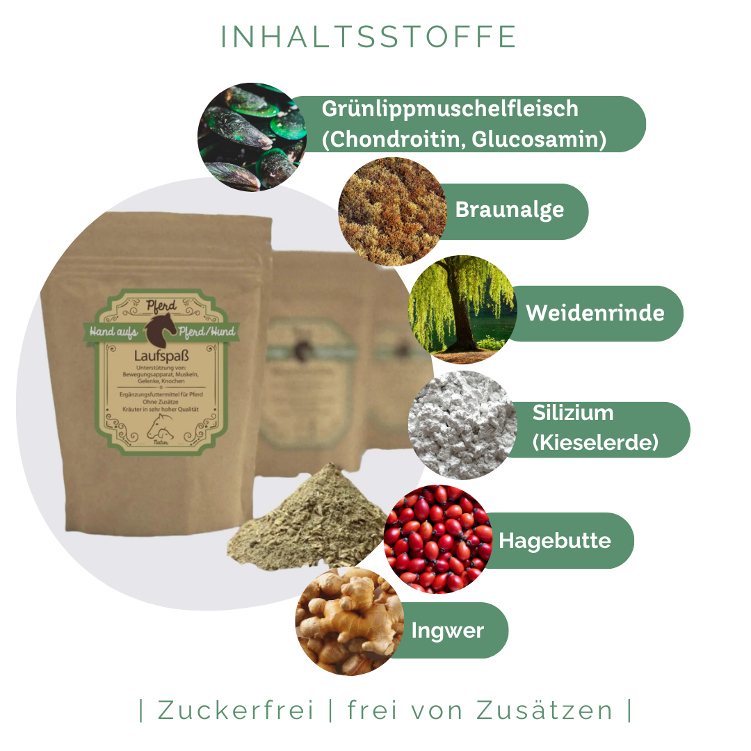 Spat Pferd Vorbeugen und Behandeln