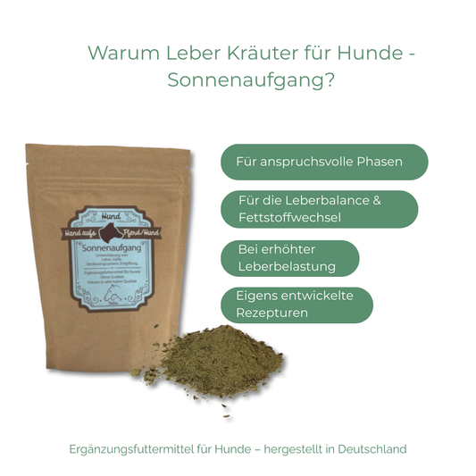 Unterstützung der Ausscheidungsprozesse & des Stoffwechsels