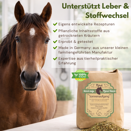 Pferd mit einer Tüte Leberkräuter aus der Tierheilpraxis