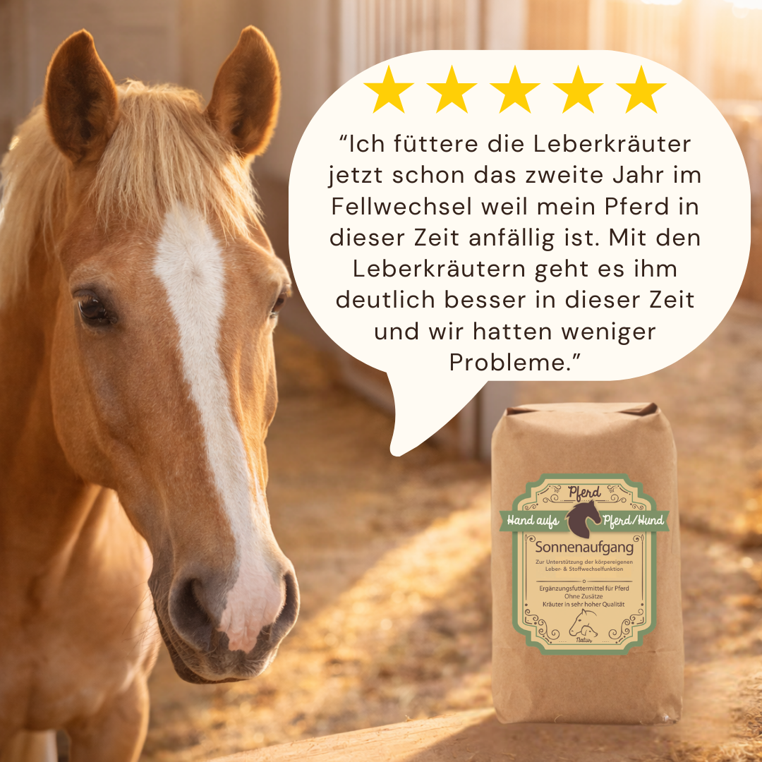 erfahrung leber kräuter für pferde