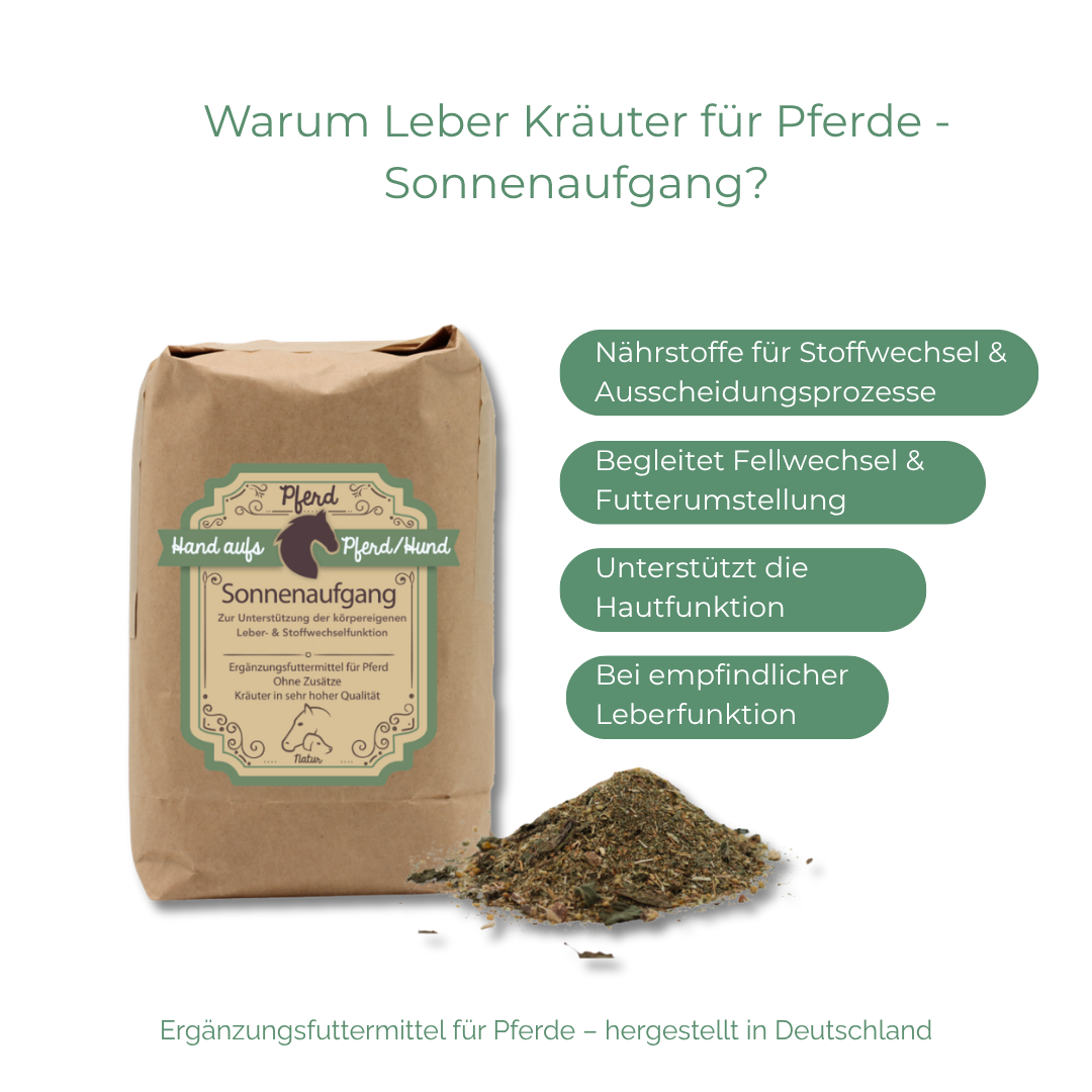 Leberkräuter