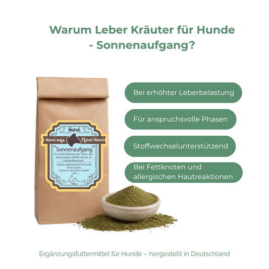 Unterstützung der Ausscheidungsprozesse & des Stoffwechsels