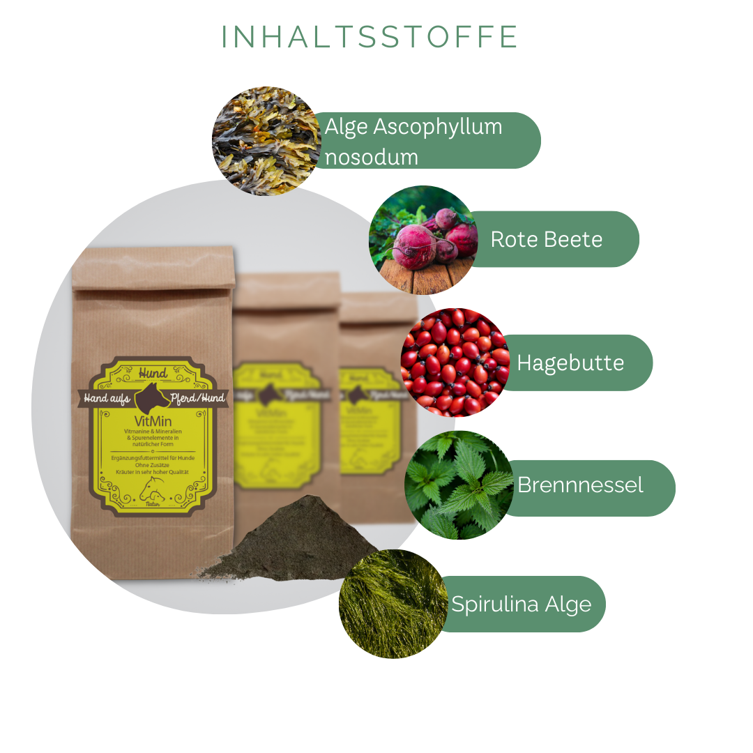 Ernährungsphysiologische