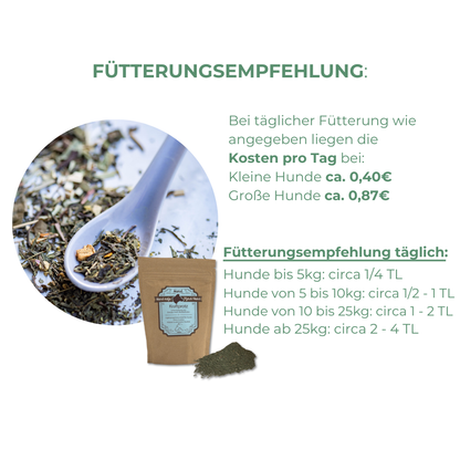 Zur Regeneration nach Krankheit