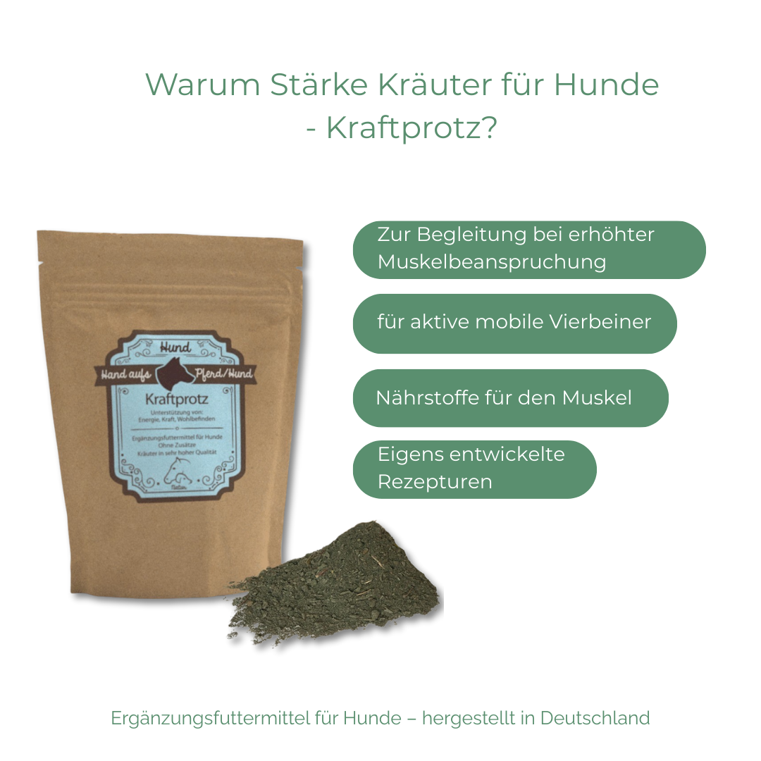 bei erhöhter Muskelbeanspruchung